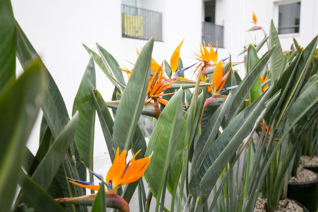 Lisbon Downtown Apartment Free Parking Exterior foto